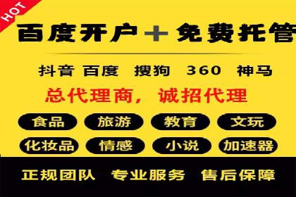 推广竞价策略优化：借鉴成功案例实现高效转化